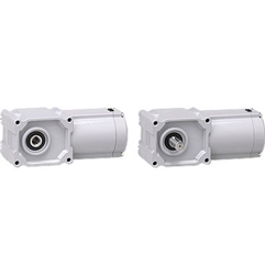 Đông cơ giảm tốc GTR Nissei cốt âm/dương 15-90 watt